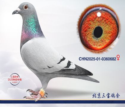 3.�ٰ�����Ѫ.0360682