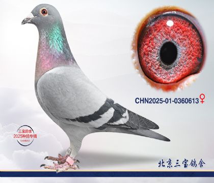 4.����x��ʱ��Ѫϵ.0360613