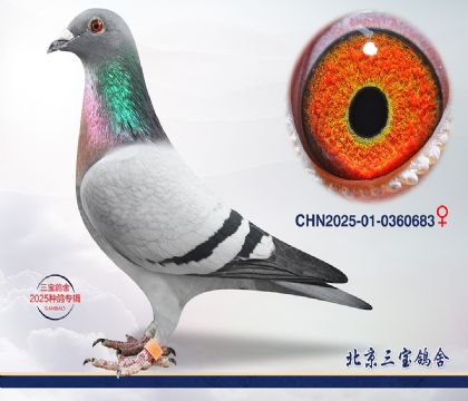 5.�ٰ�����Ѫ.0360683