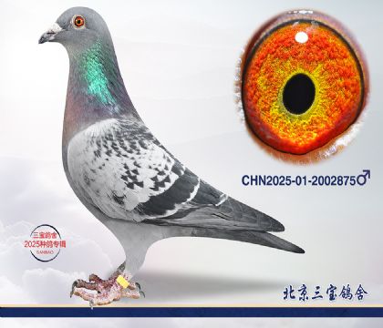 8.����x����1000Ѫϵ.2002875