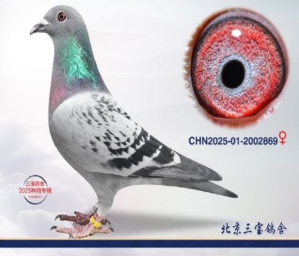 6.��ȱ��x����Ѫϵ.2002869