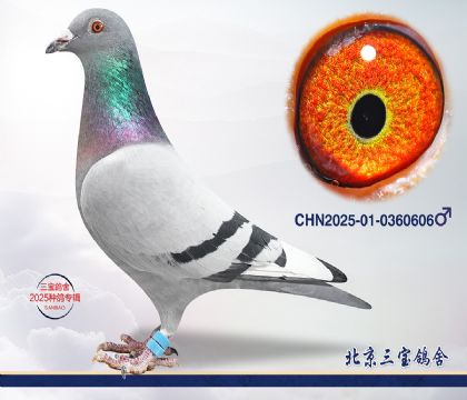 7.�¸��׵�x��ȱ��.0360606