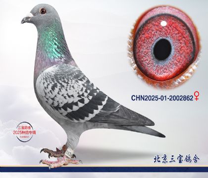 9.���ҽ�Ѫ.2002862