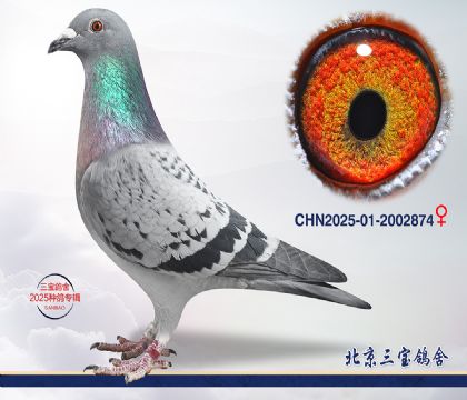 10.�°���ƥ��ƽ�����.2002874