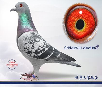 11.���ǲ���x�Ǳ�.2002819