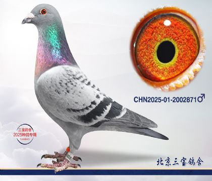 12.���Խ�ĸ615���.2002871