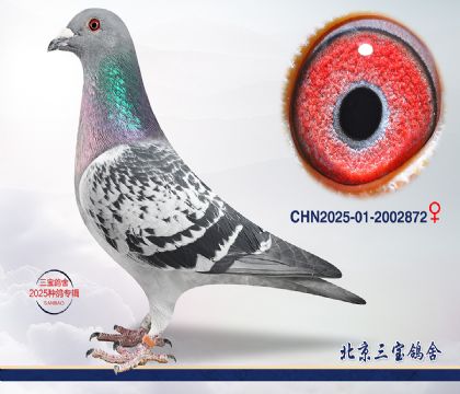 14.���Խ�ĸ615���.2002872