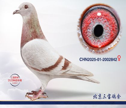 15.����1000��Ѫ.2002842