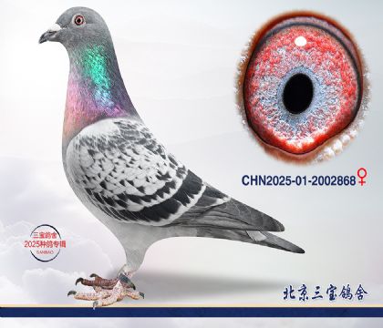 2.��ȱ��x����x����.2002868