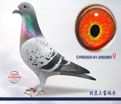 4.����x��ȱ��x����.2002867