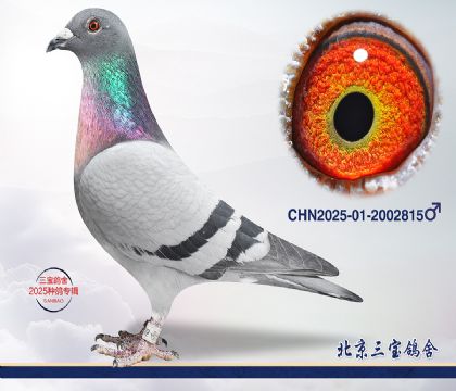 5.���xӢ��˹.2002815