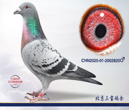 3.����x����.2002820