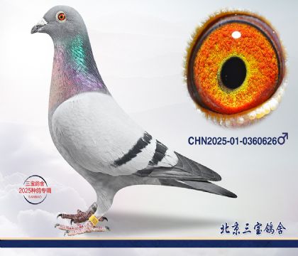 6.�ٰ�����Ѫ.0360626