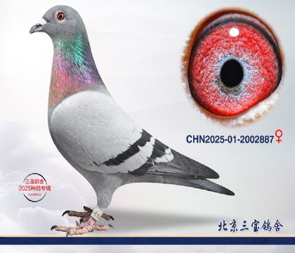 7.����x����.2002887