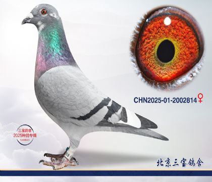 8.���xӢ��˹.2002814