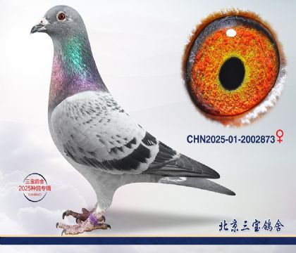 9.�°���ƥ��ƽ�����.2002873