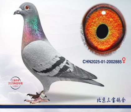 14.�Ǳ�³�Ͻ�Ѫ���.2002885