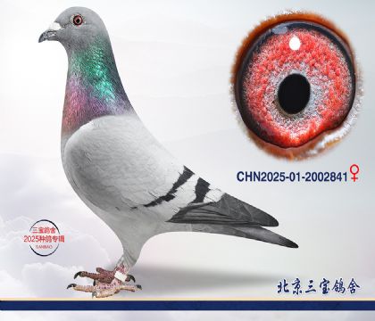 15.����1000��Ѫ.2002841