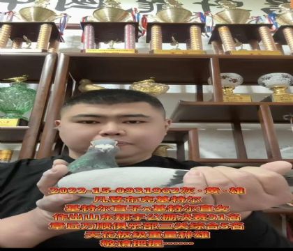 �ƹ������ѡ�����ǲ��ˡ����ض���ֱ��X�����ض���ֱŮ