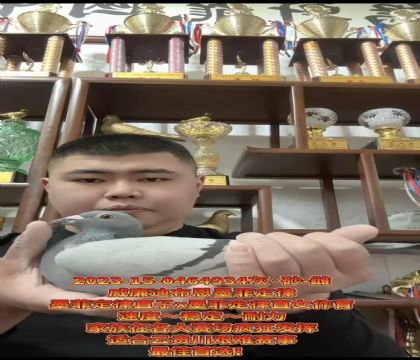 ɽ�����ǣ������ϲ�����ī�ƶ��ɡ�ֱ��X��ī�ƶ��ɡ�ֱŮ