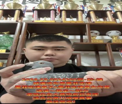 ɽ�����ǣ������ϲ�����ī�ƶ��ɡ�ֱ��X��ī�ƶ��ɡ�ֱŮ