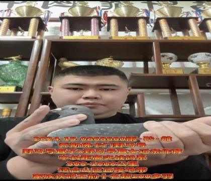 ��˹����Ұ����ֱ��XֱŮ��������