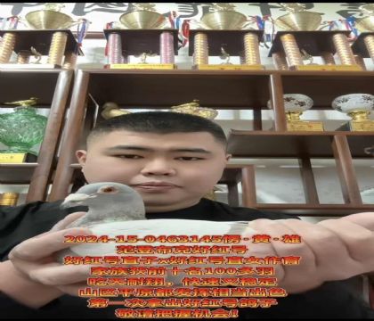 ���ٱ�Ѫ��һ���ϰ����ǲ��˺ú��ֱ��XֱŮ��������