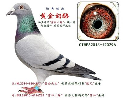 ĸ �� �ƽ�����