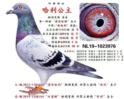 ĸ �� ��������