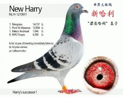 ���游  Ư������