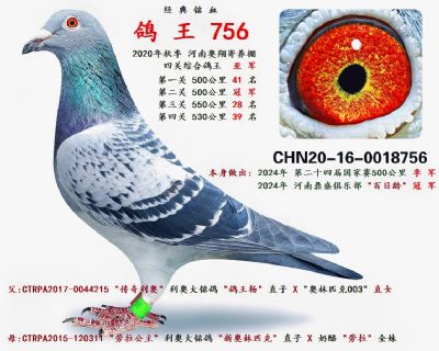 ĸ��  �Ĺظ����Ǿ�