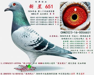 ƽ �� ����������