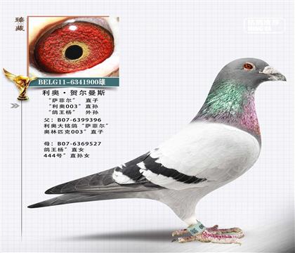 ���������ƶ�ֱ��