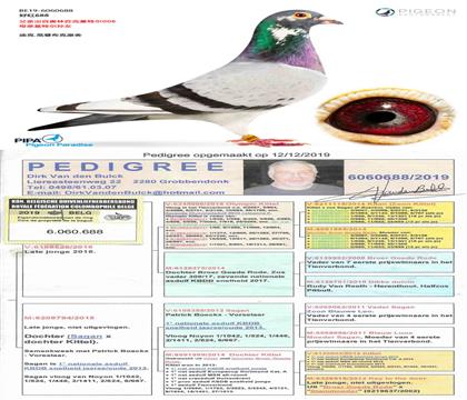 ĸ�����ض�006����Ů