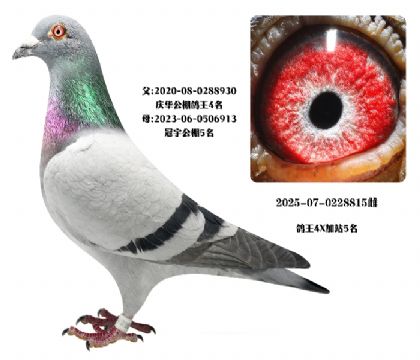 �����Ӵ�