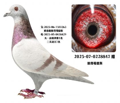 �����Ӵ�