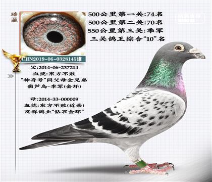 ƽ��������10��