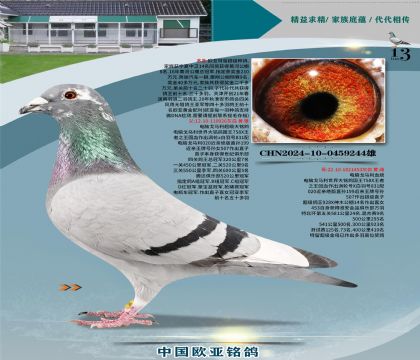 ���Գ����ֹ�926X��ĸ453