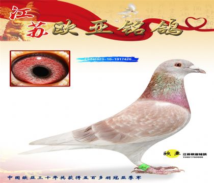 ղɭԭ��Ư�����137X������ֱŮ��841