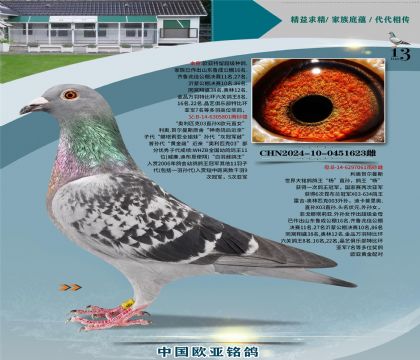 ���°���Ƹ���ŷԪ801X������ֱ��Ů061