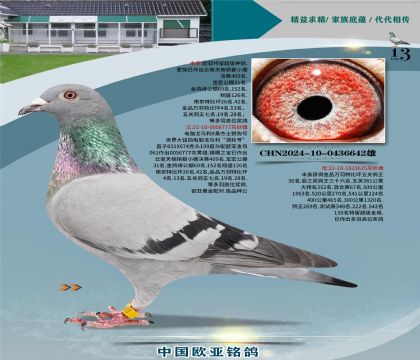 ����ɣ��ʿ777Xɣ��ʿ625��ظ���36��