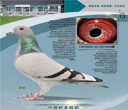 ����614X061ֱ��X018X061ֱŮ����