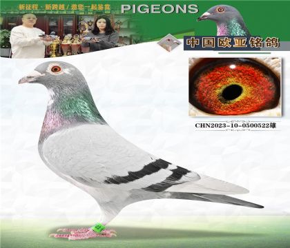 ���Գ����ֹ�926X��ĸ453