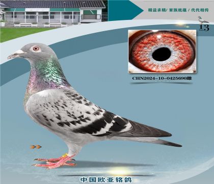 ����ԭʼ03����073X��ֱ��Ů063