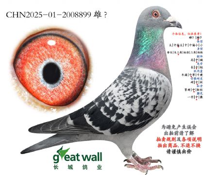 1.����xͼ��˹x����ʯ.2008899