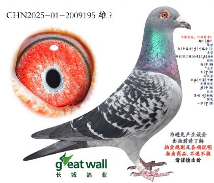 5.��ʱ��x������.2009195