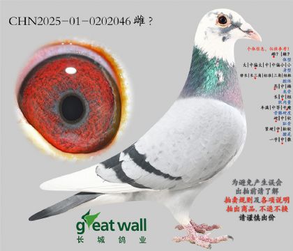 4.�����������.0202046