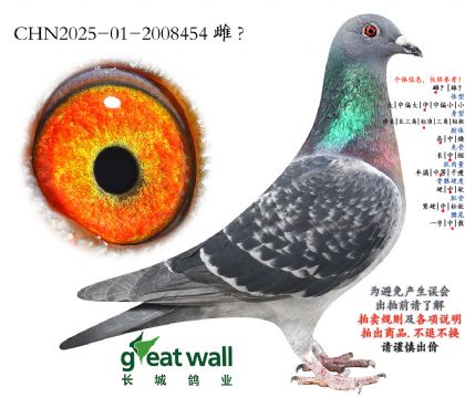 6.�ۺϼ���ȫ���Ӵ�.2008454