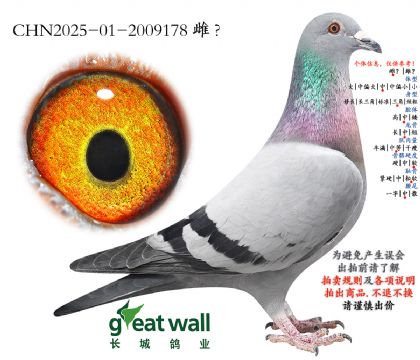 7.�����˹���.2009178