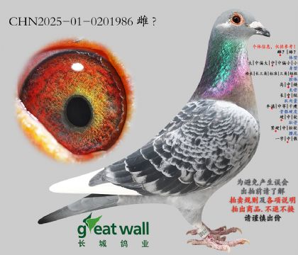 8.��ȱ��x��ʱ��.0201986